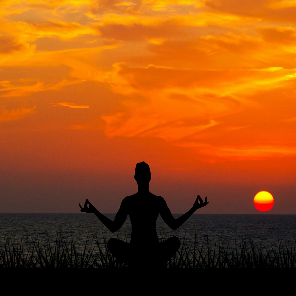 Scientific Meditation
